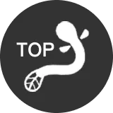 トップへ