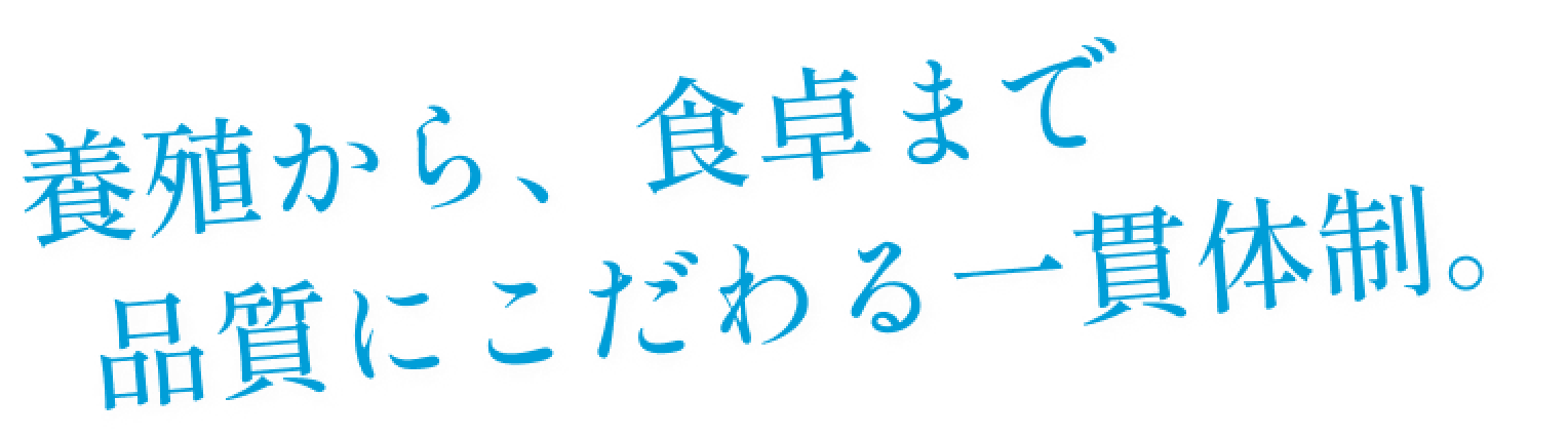 養殖から、食卓まで　品質にこだわる一貫体制。